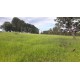 Sitio a venda sp Regiao Ribeirao Preto Cajuru lavoura Pecuaria 11 alqueires