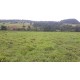 Sitio a venda sp Regiao Ribeirao Preto Cajuru lavoura Pecuaria 11 alqueires