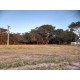 Sitio a venda sp Ribeirao Preto montado pecuaria lavoura 3.3 ha