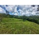 Fazenda a venda GO regiao Catalão Caldas Nova pecuaria