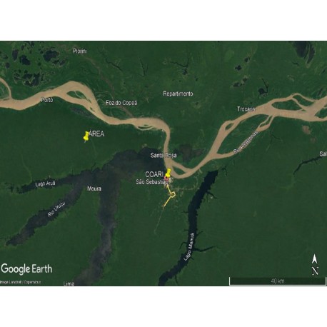 Reserva florestal a venda am Amazonas Credito carbono 1.000 alqueires