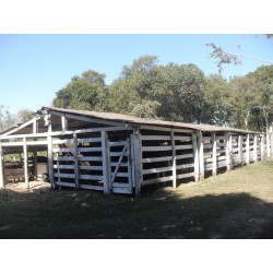 Sitio a venda sp Regiao Ribeirao Preto Cajuru pecuaria lavoura lazer