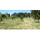 Sitio a venda sp Regiao Ribeirao Preto Cajuru pecuaria lavoura lazer