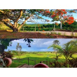 Fazenda a venda sp Regiao Ribeirao Preto Mococa Pecuaria montada 20 alqueires