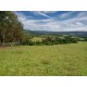 Fazenda a venda sp Regiao Ribeirao Preto Mococa Pecuaria montada 20 alqueires