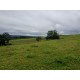 Fazenda a venda sp Regiao Ribeirao Preto Mococa Pecuaria montada 20 alqueires