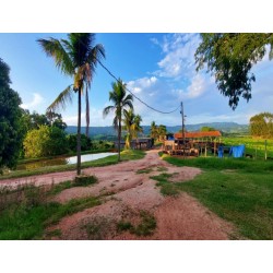 Sitio a venda sp Regiao Ribeirao Preto Mococa montado pecuaria 3 alqueires