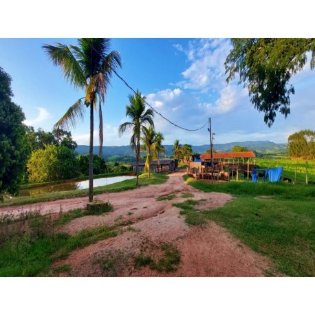 Sitio a venda sp Regiao Ribeirao Preto Mococa montado pecuaria 3 alqueires