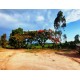 Sitio a venda sp Regiao Ribeirao Preto Mococa montado pecuaria 3 alqueires
