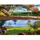 Sitio a venda sp Regiao Ribeirao Preto Mococa montado pecuaria 3 alqueires