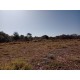 Sitio a venda sp Ribeirao Preto Cajuru Cassia dos Coqueiros pecuaria lavoura lazer 5 alqueires