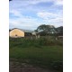 Sitio a venda sp Ribeirao Preto Cajuru Cassia dos Coqueiros pecuaria lavoura lazer 5 alqueires