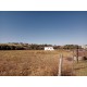 Sitio a venda sp Ribeirao Preto Cajuru com casa antiga 2.42 ha