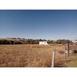 Sitio a venda sp Ribeirao Preto Cajuru com casa antiga 2.42 ha