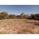 Sitio a venda sp Ribeirao Preto Cajuru com casa antiga 2.42 ha