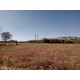 Sitio a venda sp Ribeirao Preto Cajuru com casa antiga 2.42 ha