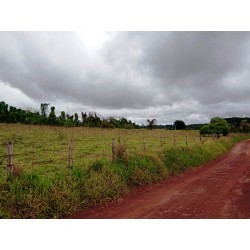Sitio a venda sp Ribeirao Preto Cassia dos Coqueiros pecuaria loteamento 6 alqueires