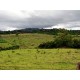 Sitio a venda sp Ribeirao Preto Cassia dos Coqueiros pecuaria loteamento 6 alqueires