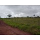 Sitio a venda sp Ribeirao Preto Cassia dos Coqueiros pecuaria loteamento 6 alqueires