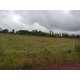 Sitio a venda sp Ribeirao Preto Cassia dos Coqueiros pecuaria loteamento 6 alqueires