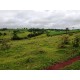 Sitio a venda sp Ribeirao Preto Cassia dos Coqueiros pecuaria loteamento 6 alqueires
