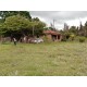 Sitio a venda sp Ribeirao Preto Cassia dos Coqueiros pecuaria loteamento 6 alqueires