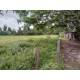 Sitio a venda sp Ribeirao Preto Cassia dos Coqueiros pecuaria loteamento 6 alqueires