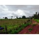 Sitio a venda sp Regiao Ribeirao Preto lazer pecuaria 3.42 ha