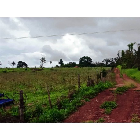 Sitio a venda Regiao Ribeirao Preto lazer pecuaria 3.42 ha