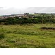 Sitio a venda sp Regiao Ribeirao Preto lazer pecuaria 3.42 ha