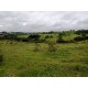Sitio a venda sp Regiao Ribeirao Preto lazer pecuaria 3.42 ha
