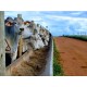 Fazenda a venda GO Regiao Aruanã Pecuaria lavoura montada dupla aptidão 29.200ha