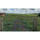 Fazenda a venda sp regiao Rio Preto Monte Aprazivel pecuaria