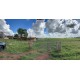 Fazenda a venda sp regiao Rio Preto Monte Aprazivel pecuaria