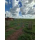 Fazenda a venda sp regiao Rio Preto Monte Aprazivel pecuaria