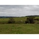 Sitio a venda sp Regiao Ribeirao Preto Mococa Pecuaria lavoura