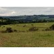 Sitio a venda sp Regiao Ribeirao Preto Mococa Pecuaria lavoura