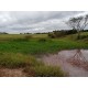 Sitio a venda sp Regiao Ribeirao Preto Mococa Pecuaria lavoura