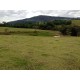 Sitio a venda sp Regiao Ribeirao Preto Mococa Pecuaria lavoura