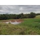 Sitio a venda sp Regiao Ribeirao Preto Mococa Pecuaria lavoura