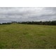 Sitio a venda sp Regiao Ribeirao Preto Mococa Pecuaria lavoura