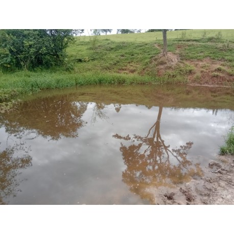 Sitio a venda Regiao Campinas Mococa Pecuaria soja 10 alqueires