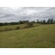 Sitio a venda sp Regiao Campinas Mococa Pecuaria soja 10 alqueires