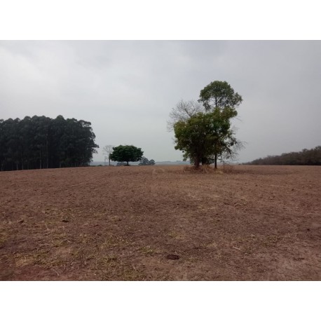 Fazenda a venda sp Ribeirao Preto pecuaria lavoura cafe soja cana Empreendimento 42 alqueires