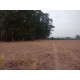 Fazenda a venda sp Ribeirao Preto pecuaria lavoura cafe soja cana Empreendimento 42 alqueires