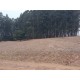 Fazenda a venda sp Ribeirao Preto pecuaria lavoura cafe soja cana Empreendimento 42 alqueires