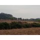 Fazenda a venda sp Ribeirao Preto pecuaria lavoura cafe soja cana Empreendimento 42 alqueires