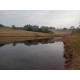 Fazenda a venda sp Ribeirao Preto pecuaria lavoura cafe soja cana Empreendimento 42 alqueires