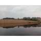 Fazenda a venda sp Ribeirao Preto pecuaria lavoura cafe soja cana Empreendimento 42 alqueires