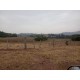 Fazenda a venda sp Ribeirao Preto pecuaria lavoura cafe soja cana Empreendimento 42 alqueires